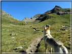 foto Monte Roisetta